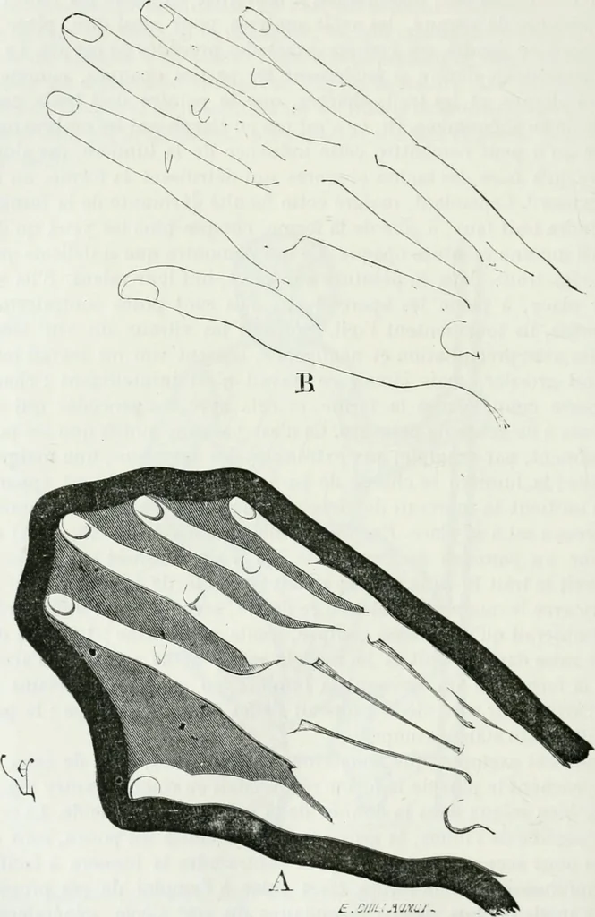An illustration from Dictionnaire raisonné de l'architecture française du XIe au XVIe siècle, 1875, leaf 435