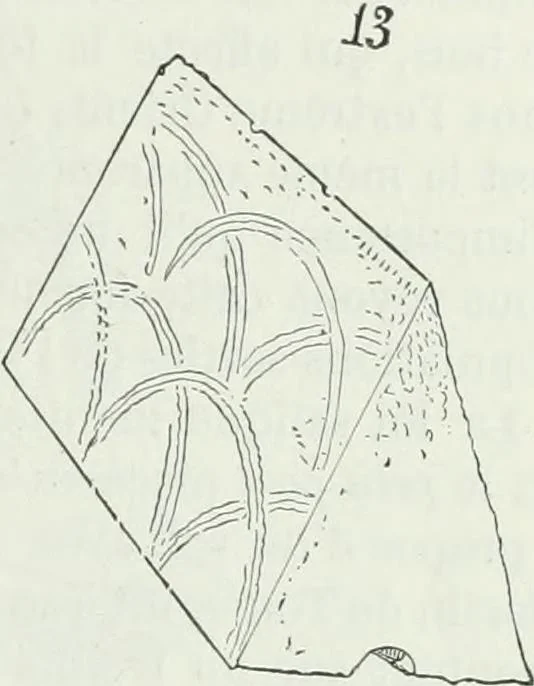 An illustration from Dictionnaire raisonné de l'architecture française du XIe au XVIe siècle, 1875, leaf 50