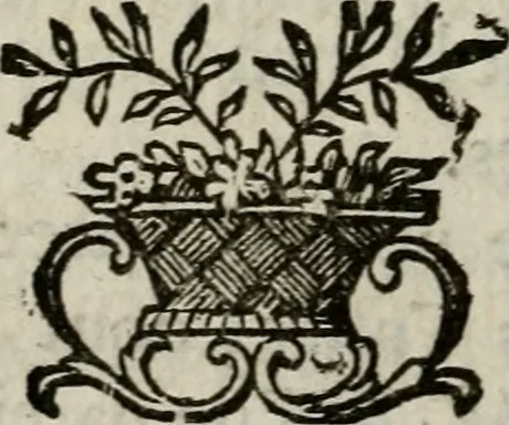 An illustration from Catalogue raisonné des differens effets curieux & rares contenus dans le cabinet de feu M. le chevalier de La Roque : ce cabinet renferme une collection considerable de tableaux, de desseins, & d'estampes des meilleurs maîtres; de figures de bronze & de marbre; de porcelaines anciennes ... de pierres ... de coquilles, & enfin de nombre d'autres morceaux interressans de divers genres, 1745, leaf 117