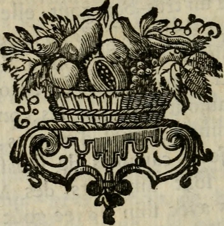 An illustration from Catalogue raisonné des differens effets curieux & rares contenus dans le cabinet de feu M. le chevalier de La Roque : ce cabinet renferme une collection considerable de tableaux, de desseins, & d'estampes des meilleurs maîtres; de figures de bronze & de marbre; de porcelaines anciennes ... de pierres ... de coquilles, & enfin de nombre d'autres morceaux interressans de divers genres, 1745, leaf 131