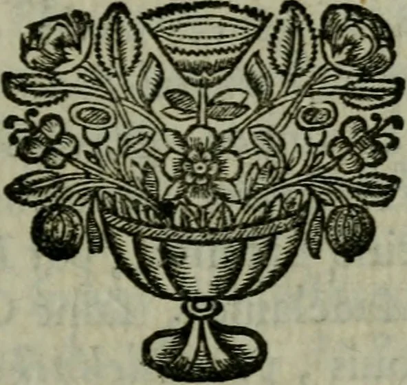 An illustration from Catalogue raisonné des differens effets curieux & rares contenus dans le cabinet de feu M. le chevalier de La Roque : ce cabinet renferme une collection considerable de tableaux, de desseins, & d'estampes des meilleurs maîtres; de figures de bronze & de marbre; de porcelaines anciennes ... de pierres ... de coquilles, & enfin de nombre d'autres morceaux interressans de divers genres, 1745, leaf 202