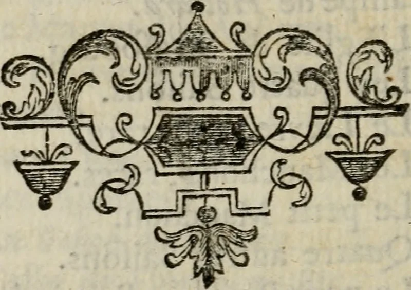 An illustration from Catalogue raisonné des differens effets curieux & rares contenus dans le cabinet de feu M. le chevalier de La Roque : ce cabinet renferme une collection considerable de tableaux, de desseins, & d'estampes des meilleurs maîtres; de figures de bronze & de marbre; de porcelaines anciennes ... de pierres ... de coquilles, & enfin de nombre d'autres morceaux interressans de divers genres, 1745, leaf 219