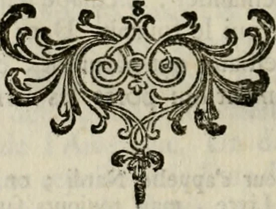 An illustration from Catalogue raisonné des diverses curiosités du cabinet de feu M. Quentin de Lorangere, composé de tableaux originaux des meilleurs maîtres de Flandres, d'une très-nombreuse collection de desseins & d'estampes de toutes les ecoles, de plusieurs atlas & suites de cartes, de quantité de morceaux de topographie, & d'un coquillier fait avec choix ..., 1744, leaf 151