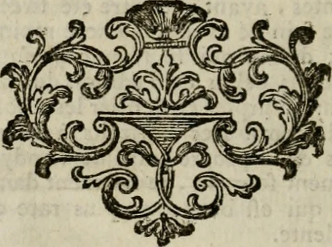 An illustration from Catalogue raisonné des diverses curiosités du cabinet de feu M. Quentin de Lorangere, composé de tableaux originaux des meilleurs maîtres de Flandres, d'une très-nombreuse collection de desseins & d'estampes de toutes les ecoles, de plusieurs atlas & suites de cartes, de quantité de morceaux de topographie, & d'un coquillier fait avec choix ..., 1744, leaf 287