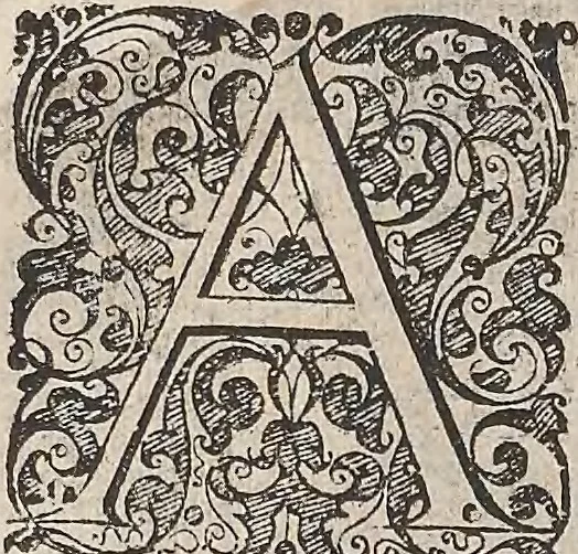 An illustration from Les raisons des forces mouuantes auec diuerses machines tant vtilles que plaisantes : aus quelles sont adioints plusieurs desseings de grotes et fontaines, 1615, leaf 101