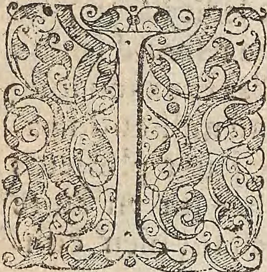 An illustration from Les raisons des forces mouuantes auec diuerses machines tant vtilles que plaisantes : aus quelles sont adioints plusieurs desseings de grotes et fontaines, 1615, leaf 114