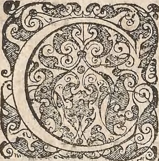 An illustration from Les raisons des forces mouuantes auec diuerses machines tant vtilles que plaisantes : aus quelles sont adioints plusieurs desseings de grotes et fontaines, 1615, leaf 115