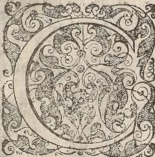An illustration from Les raisons des forces mouuantes auec diuerses machines tant vtilles que plaisantes : aus quelles sont adioints plusieurs desseings de grotes et fontaines, 1615, leaf 117