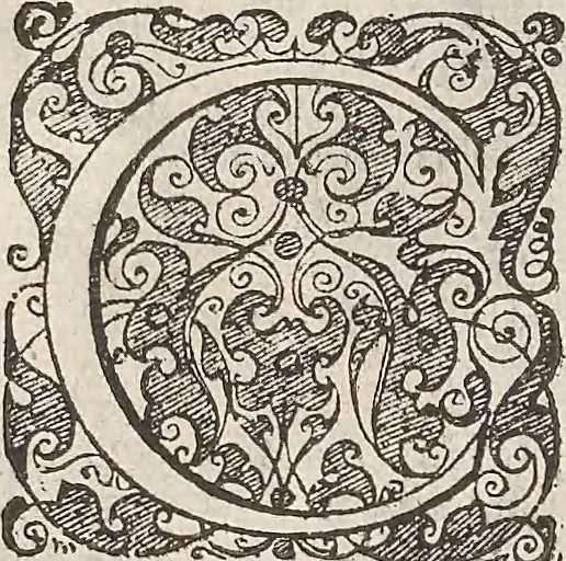 An illustration from Les raisons des forces mouuantes auec diuerses machines tant vtilles que plaisantes : aus quelles sont adioints plusieurs desseings de grotes et fontaines, 1615, leaf 119