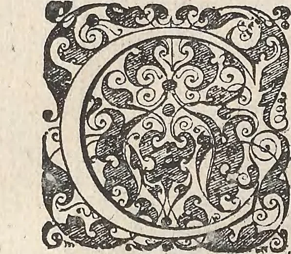 An illustration from Les raisons des forces mouuantes auec diuerses machines tant vtilles que plaisantes : aus quelles sont adioints plusieurs desseings de grotes et fontaines, 1615, leaf 121