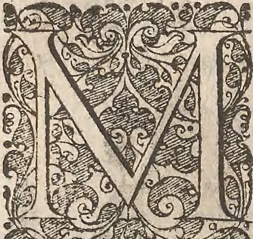 An illustration from Les raisons des forces mouuantes auec diuerses machines tant vtilles que plaisantes : aus quelles sont adioints plusieurs desseings de grotes et fontaines, 1615, leaf 135