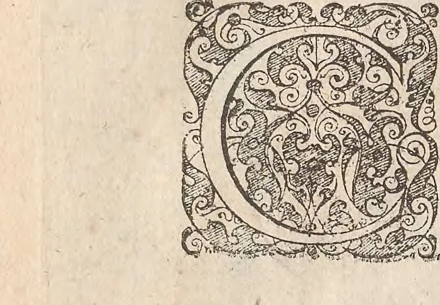 An illustration from Les raisons des forces mouuantes auec diuerses machines tant vtilles que plaisantes : aus quelles sont adioints plusieurs desseings de grotes et fontaines, 1615, leaf 139