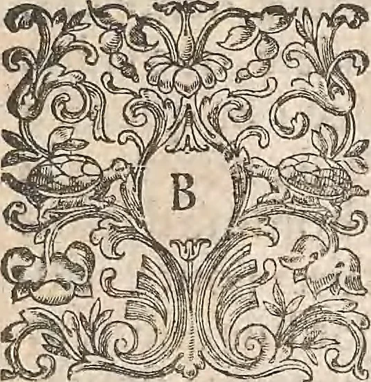 An illustration from Les raisons des forces mouuantes auec diuerses machines tant vtilles que plaisantes : aus quelles sont adioints plusieurs desseings de grotes et fontaines, 1615, leaf 14
