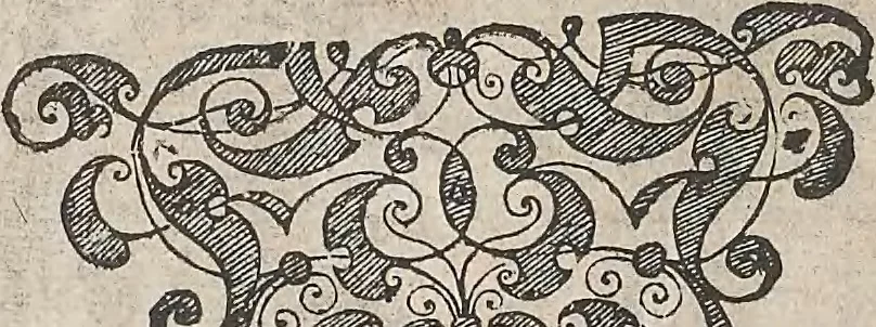 An illustration from Les raisons des forces mouuantes auec diuerses machines tant vtilles que plaisantes : aus quelles sont adioints plusieurs desseings de grotes et fontaines, 1615, leaf 145