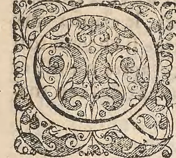 An illustration from Les raisons des forces mouuantes auec diuerses machines tant vtilles que plaisantes : aus quelles sont adioints plusieurs desseings de grotes et fontaines, 1615, leaf 158