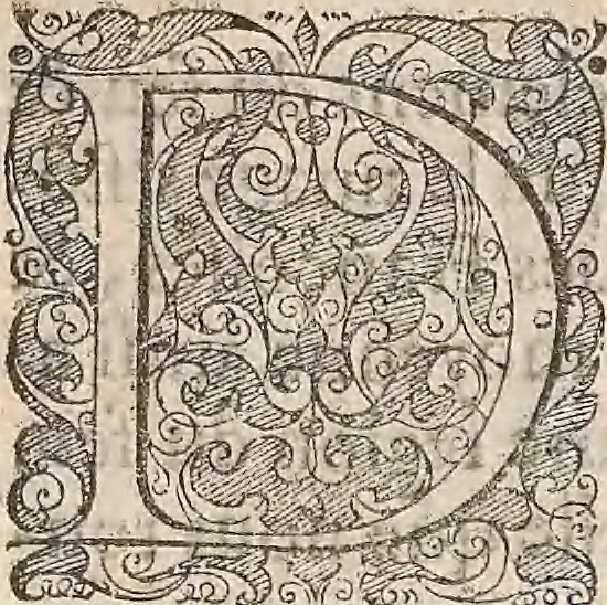 An illustration from Les raisons des forces mouuantes auec diuerses machines tant vtilles que plaisantes : aus quelles sont adioints plusieurs desseings de grotes et fontaines, 1615, leaf 16