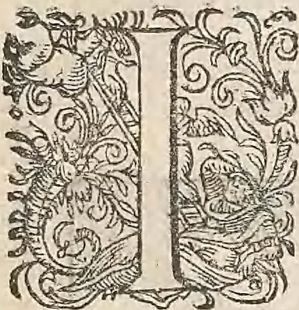 An illustration from Les raisons des forces mouuantes auec diuerses machines tant vtilles que plaisantes : aus quelles sont adioints plusieurs desseings de grotes et fontaines, 1615, leaf 16
