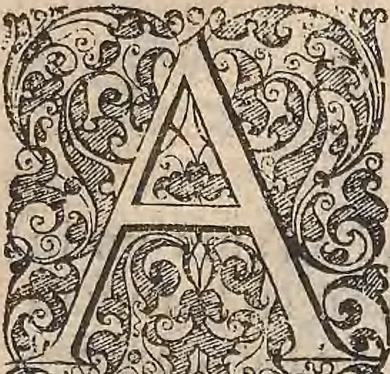 An illustration from Les raisons des forces mouuantes auec diuerses machines tant vtilles que plaisantes : aus quelles sont adioints plusieurs desseings de grotes et fontaines, 1615, leaf 160