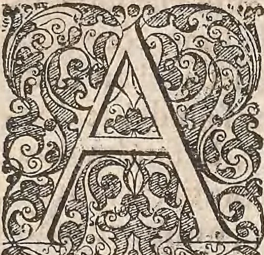 An illustration from Les raisons des forces mouuantes auec diuerses machines tant vtilles que plaisantes : aus quelles sont adioints plusieurs desseings de grotes et fontaines, 1615, leaf 161