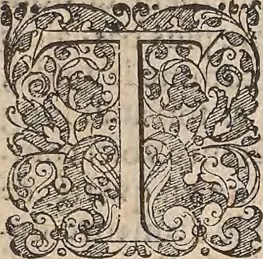 An illustration from Les raisons des forces mouuantes auec diuerses machines tant vtilles que plaisantes : aus quelles sont adioints plusieurs desseings de grotes et fontaines, 1615, leaf 162