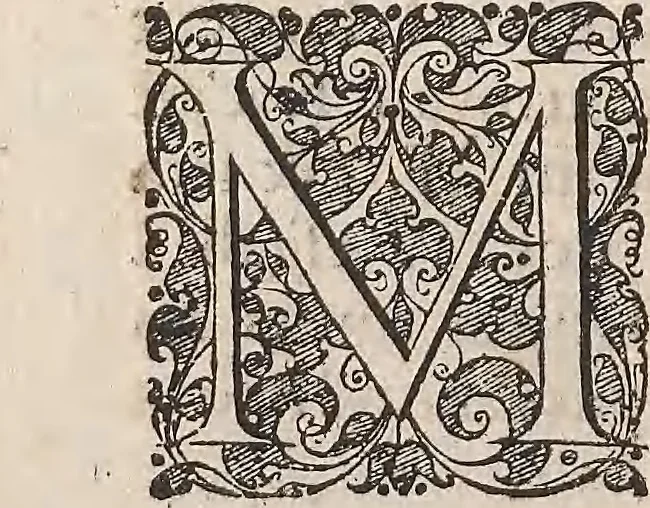 An illustration from Les raisons des forces mouuantes auec diuerses machines tant vtilles que plaisantes : aus quelles sont adioints plusieurs desseings de grotes et fontaines, 1615, leaf 163