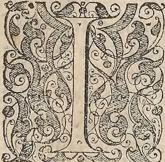 An illustration from Les raisons des forces mouuantes auec diuerses machines tant vtilles que plaisantes : aus quelles sont adioints plusieurs desseings de grotes et fontaines, 1615, leaf 164