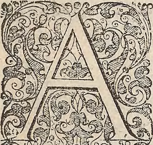 An illustration from Les raisons des forces mouuantes auec diuerses machines tant vtilles que plaisantes : aus quelles sont adioints plusieurs desseings de grotes et fontaines, 1615, leaf 164