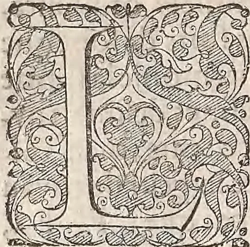 An illustration from Les raisons des forces mouuantes auec diuerses machines tant vtilles que plaisantes : aus quelles sont adioints plusieurs desseings de grotes et fontaines, 1615, leaf 165