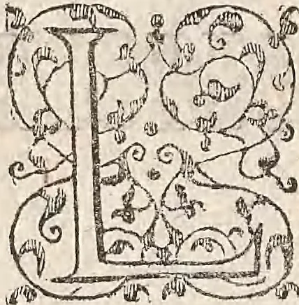 An illustration from Les raisons des forces mouuantes auec diuerses machines tant vtilles que plaisantes : aus quelles sont adioints plusieurs desseings de grotes et fontaines, 1615, leaf 165