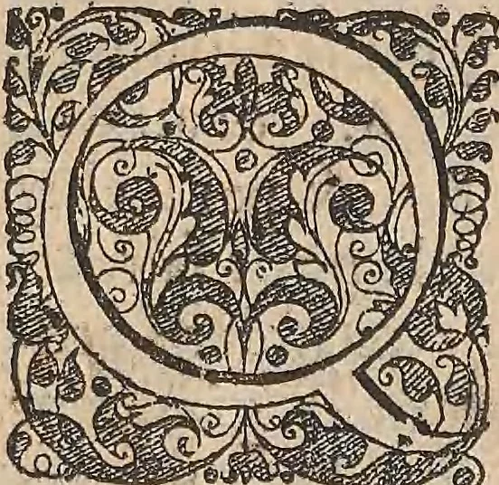 An illustration from Les raisons des forces mouuantes auec diuerses machines tant vtilles que plaisantes : aus quelles sont adioints plusieurs desseings de grotes et fontaines, 1615, leaf 170