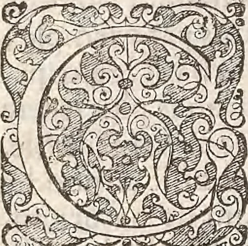 An illustration from Les raisons des forces mouuantes auec diuerses machines tant vtilles que plaisantes : aus quelles sont adioints plusieurs desseings de grotes et fontaines, 1615, leaf 19