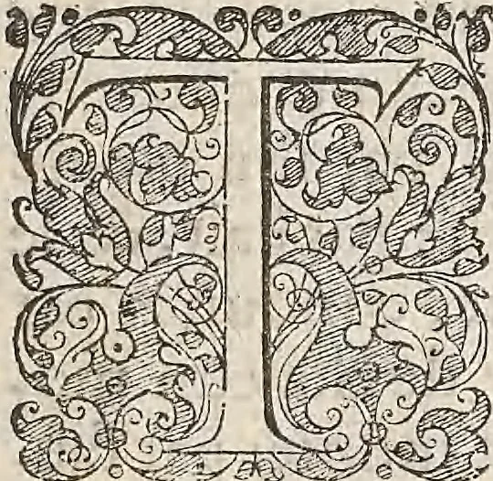 An illustration from Les raisons des forces mouuantes auec diuerses machines tant vtilles que plaisantes : aus quelles sont adioints plusieurs desseings de grotes et fontaines, 1615, leaf 20