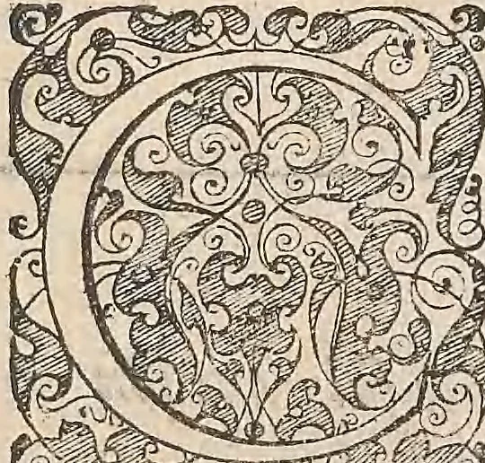 An illustration from Les raisons des forces mouuantes auec diuerses machines tant vtilles que plaisantes : aus quelles sont adioints plusieurs desseings de grotes et fontaines, 1615, leaf 24