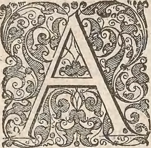 An illustration from Les raisons des forces mouuantes auec diuerses machines tant vtilles que plaisantes : aus quelles sont adioints plusieurs desseings de grotes et fontaines, 1615, leaf 25