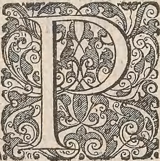 An illustration from Les raisons des forces mouuantes auec diuerses machines tant vtilles que plaisantes : aus quelles sont adioints plusieurs desseings de grotes et fontaines, 1615, leaf 25