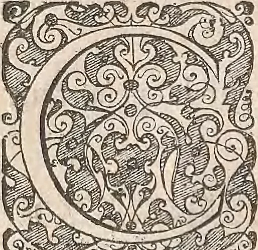 An illustration from Les raisons des forces mouuantes auec diuerses machines tant vtilles que plaisantes : aus quelles sont adioints plusieurs desseings de grotes et fontaines, 1615, leaf 27