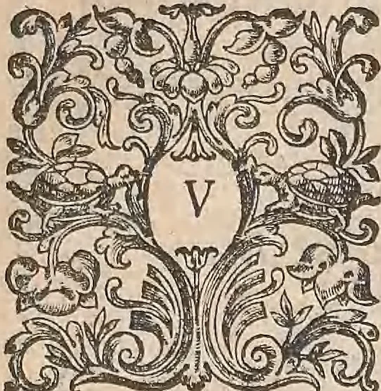 An illustration from Les raisons des forces mouuantes auec diuerses machines tant vtilles que plaisantes : aus quelles sont adioints plusieurs desseings de grotes et fontaines, 1615, leaf 28