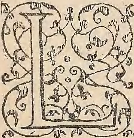 An illustration from Les raisons des forces mouuantes auec diuerses machines tant vtilles que plaisantes : aus quelles sont adioints plusieurs desseings de grotes et fontaines, 1615, leaf 28