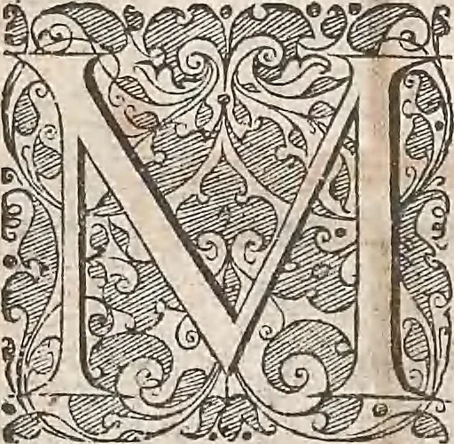 An illustration from Les raisons des forces mouuantes auec diuerses machines tant vtilles que plaisantes : aus quelles sont adioints plusieurs desseings de grotes et fontaines, 1615, leaf 37