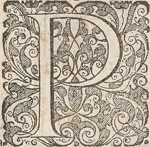 An illustration from Les raisons des forces mouuantes auec diuerses machines tant vtilles que plaisantes : aus quelles sont adioints plusieurs desseings de grotes et fontaines, 1615, leaf 43