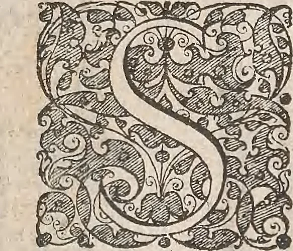 An illustration from Les raisons des forces mouuantes auec diuerses machines tant vtilles que plaisantes : aus quelles sont adioints plusieurs desseings de grotes et fontaines, 1615, leaf 47