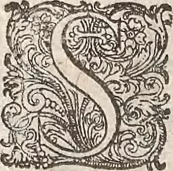 An illustration from Les raisons des forces mouuantes auec diuerses machines tant vtilles que plaisantes : aus quelles sont adioints plusieurs desseings de grotes et fontaines, 1615, leaf 51