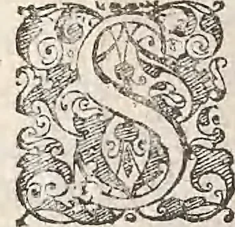 An illustration from Les raisons des forces mouuantes auec diuerses machines tant vtilles que plaisantes : aus quelles sont adioints plusieurs desseings de grotes et fontaines, 1615, leaf 51