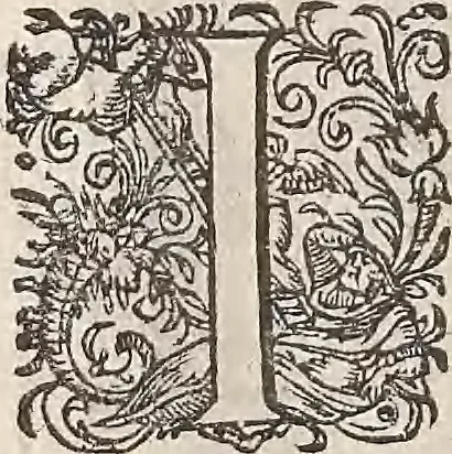 An illustration from Les raisons des forces mouuantes auec diuerses machines tant vtilles que plaisantes : aus quelles sont adioints plusieurs desseings de grotes et fontaines, 1615, leaf 51