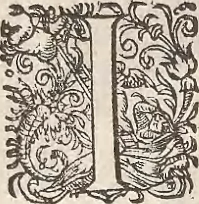 An illustration from Les raisons des forces mouuantes auec diuerses machines tant vtilles que plaisantes : aus quelles sont adioints plusieurs desseings de grotes et fontaines, 1615, leaf 53