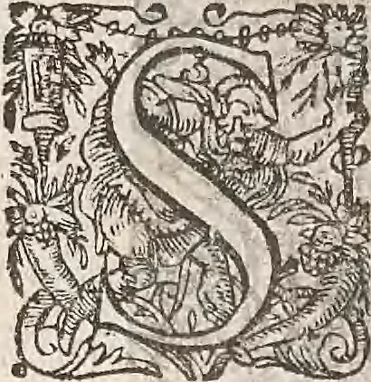 An illustration from Les raisons des forces mouuantes auec diuerses machines tant vtilles que plaisantes : aus quelles sont adioints plusieurs desseings de grotes et fontaines, 1615, leaf 57