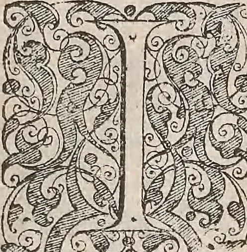 An illustration from Les raisons des forces mouuantes auec diuerses machines tant vtilles que plaisantes : aus quelles sont adioints plusieurs desseings de grotes et fontaines, 1615, leaf 63