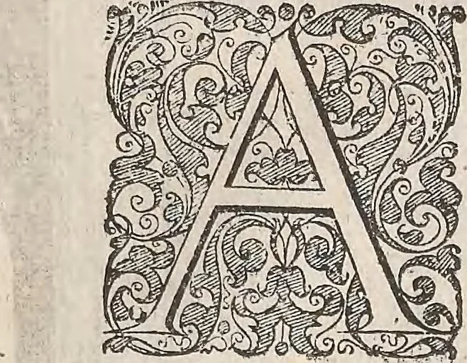 An illustration from Les raisons des forces mouuantes auec diuerses machines tant vtilles que plaisantes : aus quelles sont adioints plusieurs desseings de grotes et fontaines, 1615, leaf 65