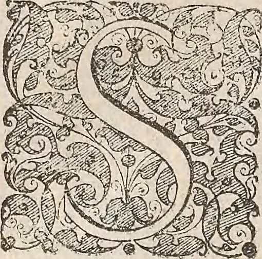 An illustration from Les raisons des forces mouuantes auec diuerses machines tant vtilles que plaisantes : aus quelles sont adioints plusieurs desseings de grotes et fontaines, 1615, leaf 69