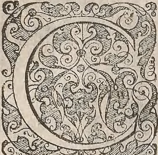 An illustration from Les raisons des forces mouuantes auec diuerses machines tant vtilles que plaisantes : aus quelles sont adioints plusieurs desseings de grotes et fontaines, 1615, leaf 71